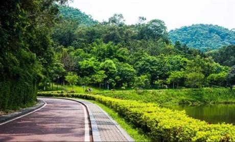 襄城縣王洛鎮(zhèn)肖莊閆村道路加寬及彩磚建設(shè)項(xiàng)目造價(jià)咨詢